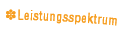 Leistungsspektrum